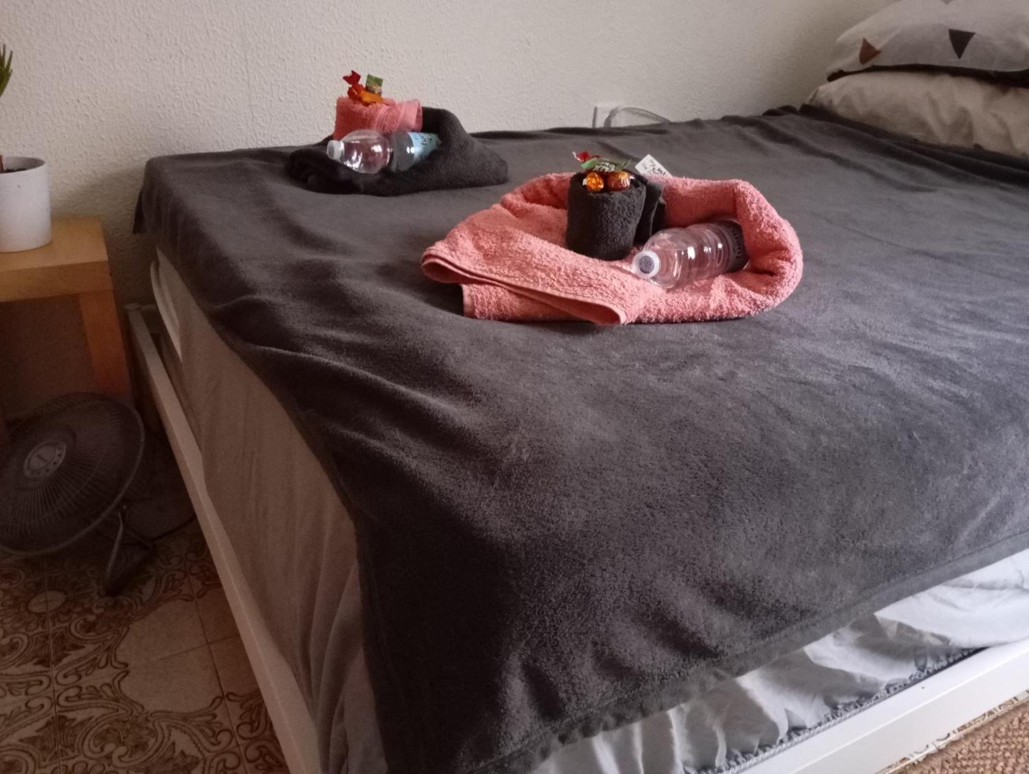 Grosses Modernes Zimmer "Silber" Fuer 2 Personen Und Katzenliebhaber Valencia Eksteriør billede