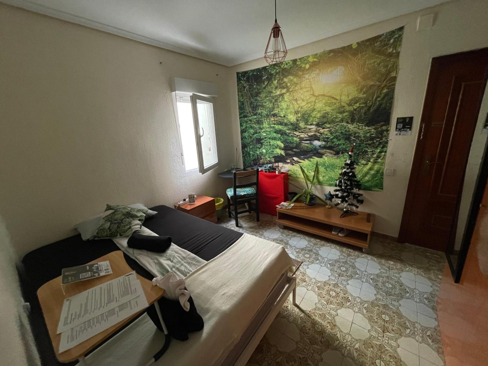 Grosses Modernes Zimmer "Silber" Fuer 2 Personen Und Katzenliebhaber Valencia Eksteriør billede